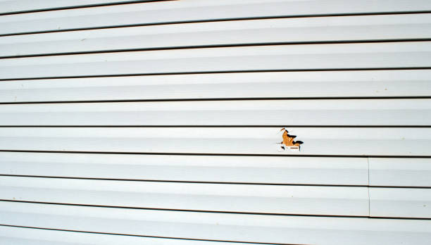Best Weatherproofing and Sealing  in Warm Springs, CA